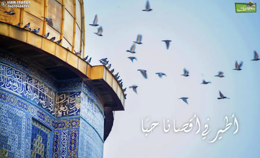 أطير في أقصانا حبًا